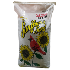 Premium Sunflower Seeds