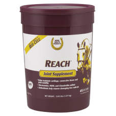 Horse Health Products Reach Joint Horse Supplement