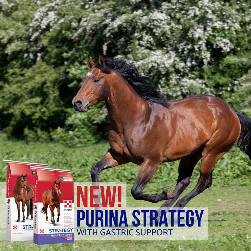 Purina Strategy Horse Feeds Product Updates H&S Feed & Country Store