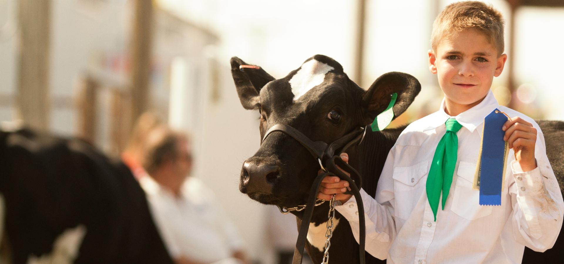 Stierwalt Cattle Clinic